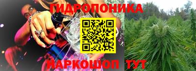 СК Кандалакша