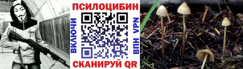 KRAKEN сайт  Надым  Псилоцибиновые грибы Cubensis 