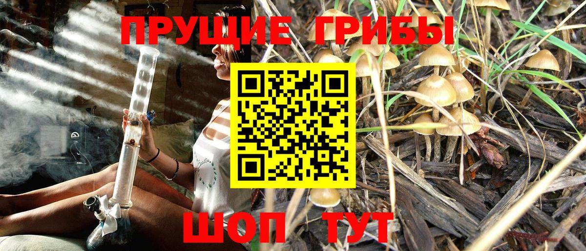Псилоцибиновые грибы Psilocybe  Вход с VPN  цены   Надым 